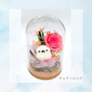 チェリーピンク チェリーピンク