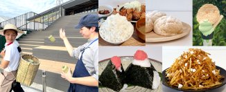 ＜道の駅常総＞関東一の米所“茨城”で《豊作大感謝祭2025》を開催！10月11日(土)～19日(日)は、まさに米尽くしの9日間！