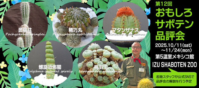 お気に入りのサボテンを選んで投票しよう♪「第12回 おもしろサボテン品評会」