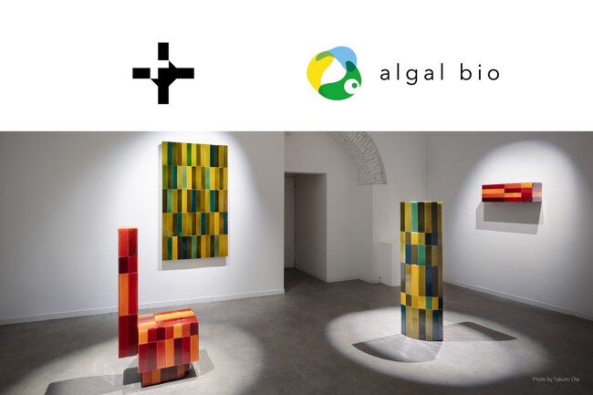 アルガルバイオとwe+、微細藻類新素材「SO-Colored」の共同事業化に向けた戦略的提携覚書を締結