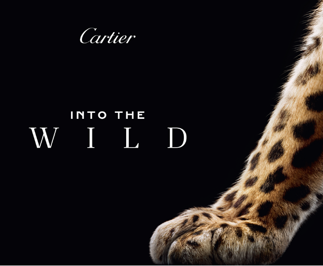 【カルティエ】 パンテールの歴史とサヴォアフェールを体感する没入型ポップアップ「INTO THE WILD」 を10/22～開催｜銀座にて