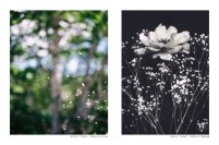 東京工芸大学の学生とスウェーデンの学生よる共同写真展を開催―スウェーデン大使館が後援―