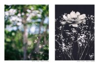 東京工芸大学の学生とスウェーデンの学生による共同写真展を開催 ―スウェーデン大使館が後援―