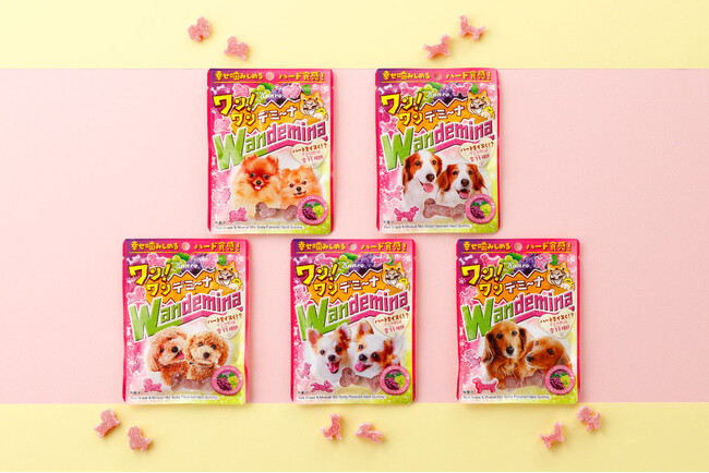 11月1日は「犬の日」！ハートを“イヌく”「ワンワンダフルーツソーダ味」のハードグミ　カンロ 「ワンワンデミーナグミ」 を発売