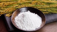 米粉と水のチカラで地域を守る 熊本製粉のサステナブルな挑戦