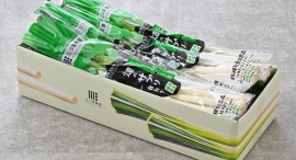 妊活女性・妊婦さんの必須栄養素「葉酸」もたっぷり！ビタミンCも豊富な栄養機能食品のネギ「畑のサプリ」が、テスト販売を経て正式発売