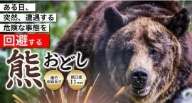 美と機能を備えた逸品。熊よけグッズ「熊おどし」販売開始 美と機能を備えた逸品。熊よけグッズ「熊おどし」販売開始