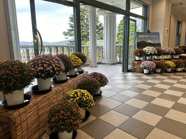 恩賜箱根公園 恒例イベント「秋のざる菊展示」を開催します!