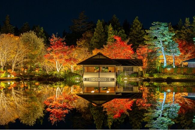 黄葉・紅葉まつり＆秋の夜散歩2025開催(国営昭和記念公園）