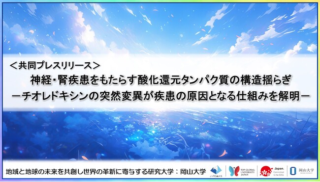 神経・腎疾患をもたらす酸化還元タンパク質の構造揺らぎ-チオレドキシンの突然変異が疾患の原因となる仕組みを解明-〔理化学研究所, 岡山大学, 日本原子力研究開発機構, 総合科学研究機構〕