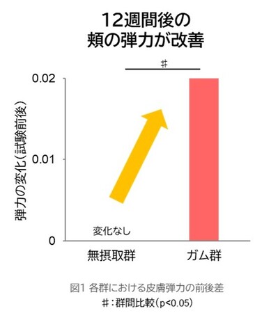 継続的なガム咀嚼トレーニングを実施することにより、肌(頬)の弾力が改善することを確認!