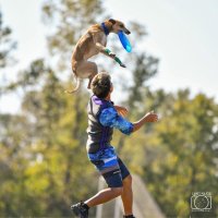 《入場無料》秋の那須ガーデンアウトレットで、愛犬と1日中楽しもう!現役世界チャンピオンによる「ディスクドッグパフォーマンス」をはじめ、わんちゃんと一緒に“楽しむ時間”が盛りだくさん!with Dogs club主催による「第2回 Happy! ワンDays フェスタ」開催!