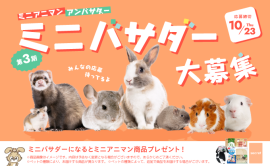 ミニバサダー大募集！