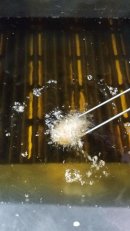 注文いただいた後に1点ずつ手作業で調理 注文いただいた後に1点ずつ手作業で調理