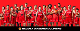 NAGOYA DIAMOND DOLPHINS