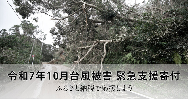 さとふる、「令和7年10月台風被害 緊急支援寄付サイト」を開設