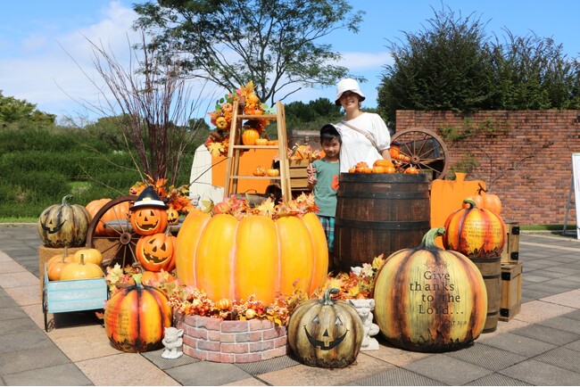ハロウィンフォトスポット登場【国営海の中道海浜公園】