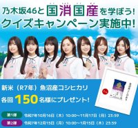 クイズ正解で合計300名様に新米・魚沼産コシヒカリ5Kgがあたる「乃木坂46と国消(こくしょう)国産(こくさん)を学ぼう！」クイズキャンペーン、本日からスタート！