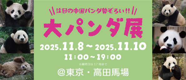 不動の大人気パンダから今話題の注目パンダまで、中国人気パンダたちが勢ぞろい！年内最後の「大パンダ展」を開催！
