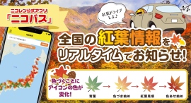 アプリ「ニコパス」にて、全国の紅葉情報をリアルタイムで掲載開始！