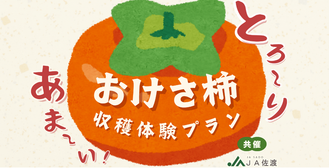 【佐渡汽船】JA佐渡と連携した「おけさ柿 収穫体験プラン」発売
