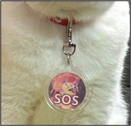 実際の装着イメージ写真 実際の装着イメージ写真