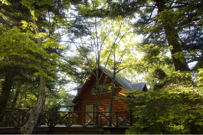 大阪で終幕した国際博覧会【未使用チケット】で5,000円OFF！秋の自然を満喫する温泉つきグランピングキャンペーンを開催【ウッドデザインパーク与位】