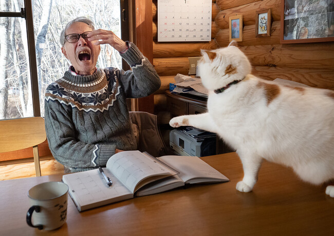 あの猫とお父さんの攻防がまさかのグッズ化　写真集『メイ先輩』特大パネルも登場