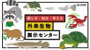 外来生物 外来生物