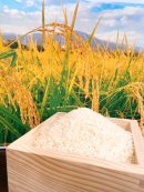 米すくいイメージ 米すくいイメージ