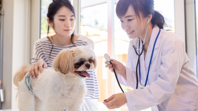 ペットの健康についての消費者調査