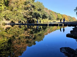 水面に映る嵐山渓谷 水面に映る嵐山渓谷