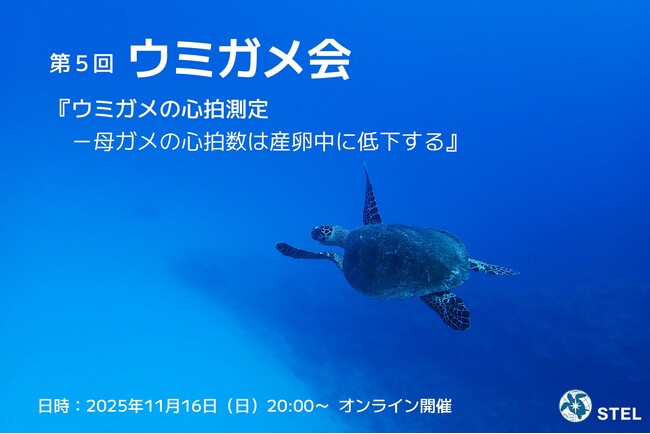 悠久の時を生きる、大海原の旅人の不思議を一緒に探ろう！　「ウミガメ会」11月16日（日）オンライン開催