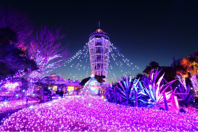 毎年好評の江の島・片瀬海岸一帯で行われるイルミネーションイベント「湘南の宝石」の開催に合わせて　１１月１７日から“小田急線乗車券＋入場・利用券”お得で便利なデジタルチケットを販売
