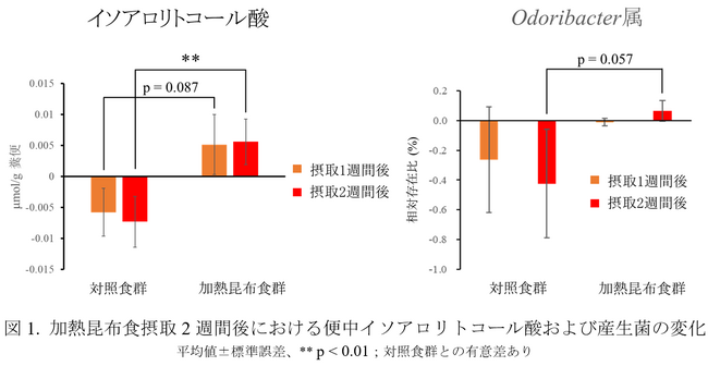 加工した昆布の摂取により健康長寿に関わる胆汁酸の産生を促進できることを確認