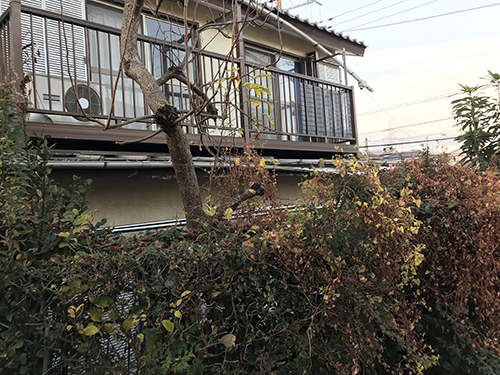 空き家投資の醍醐味「空き家・古家物件見学ツアーin船橋エリア」10月25日(土)12:00 ~開催
