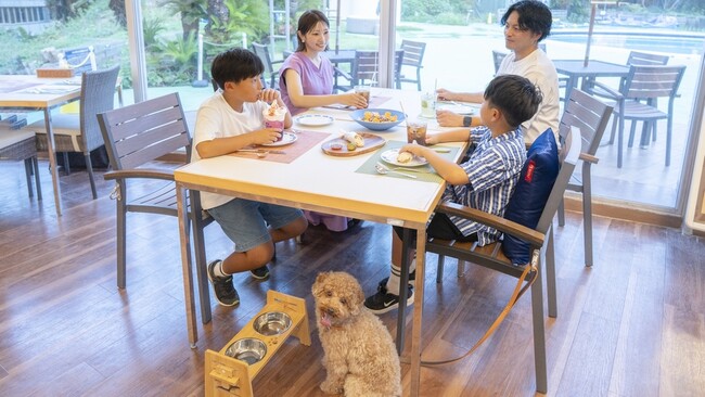 下田プリンスホテル 外来利用者向け、3ヵ月有効のお得なパスで海もカフェも楽しめる「ワンだふるパス」が新登場