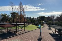 兵庫県立西猪名公園ウォーターランド、「秋のBBQパーク」を期間限定で開催