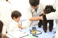 獣医師の仕事について知る！動物とふれあう！動物同伴OKイベント「2025動物感謝デー in JAPAN “World Veterinary Day”」2025年11月15日(土)開催