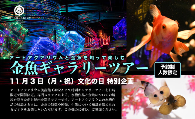11月3日文化の日 特別企画 アートアクアリウム美術館 ギャラリーツアー催行