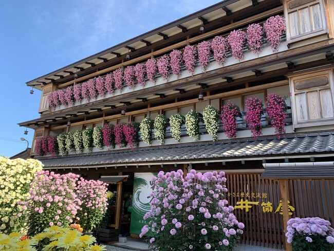 【茨城県笠間市】日本最古の菊の祭典「第118回 笠間の菊まつり」開催！