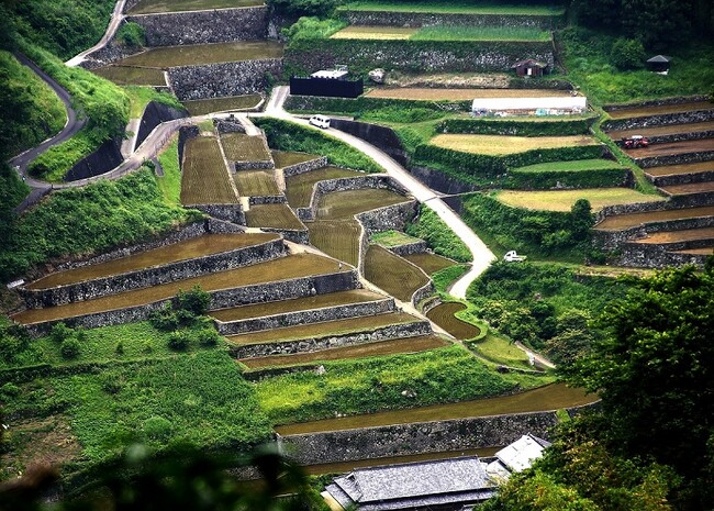 【宮崎県】高千穂郷・椎葉山地域世界農業遺産認定から10年。記念シンポジウムを開催します!!