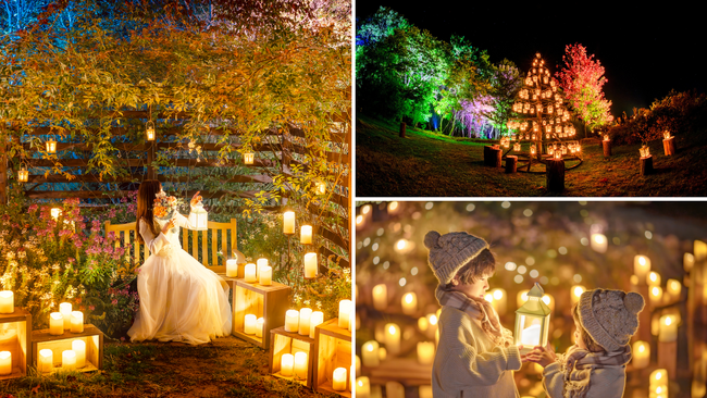 【広島／世羅】世羅高原キャンドルナイト　11月1日OPEN　《そらの花畑　世羅高原花の森》