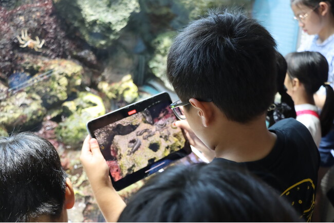 【アーツカウンシル東京】正解のない問いに挑む「創造力」を育む。アート制作と環境教育を融合した子供たちの作品展