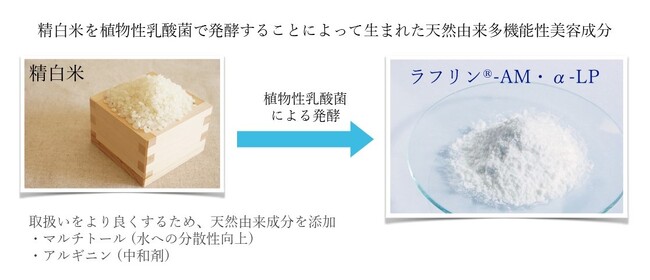 「多機能性乳酸菌発酵米」によるビタミンC誘導体（アスコルビン酸グルコシド）とナイアシンアミドの驚きの皮膚浸透促進効果について、特許を新たに取得。