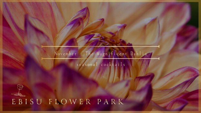 【EBISU FLOWER PARK】11月限定カクテルコース「The Magnificent Dahlia」を発表
