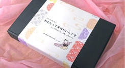 【10月27日発売開始】まるで花魁！？　妖艶に舞う「鮭」のギフト。旬を迎えた「食べごろ」の鮭たちの色香ただようユーモラスなお魚セット『わたしって美味しいんです』