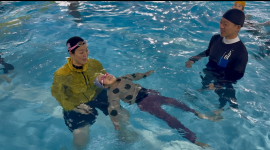 コーチに浮き方を教わる参加者