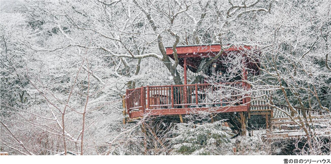 ROKKO森の音ミュージアム SIKIガーデンWinter Season 冬に色変わりする木々と森の静寂を堪能する季節の到来 2025年12月1日（月）～2026年2月28日（土）