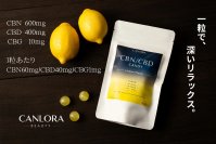 国内最大級のトリプルカンナビノイド配合キャンディ『CANLORA』、Amazonでの一般販売スタート ― 安心・高濃度・レモン味で“次世代ウェルネス菓子”へ